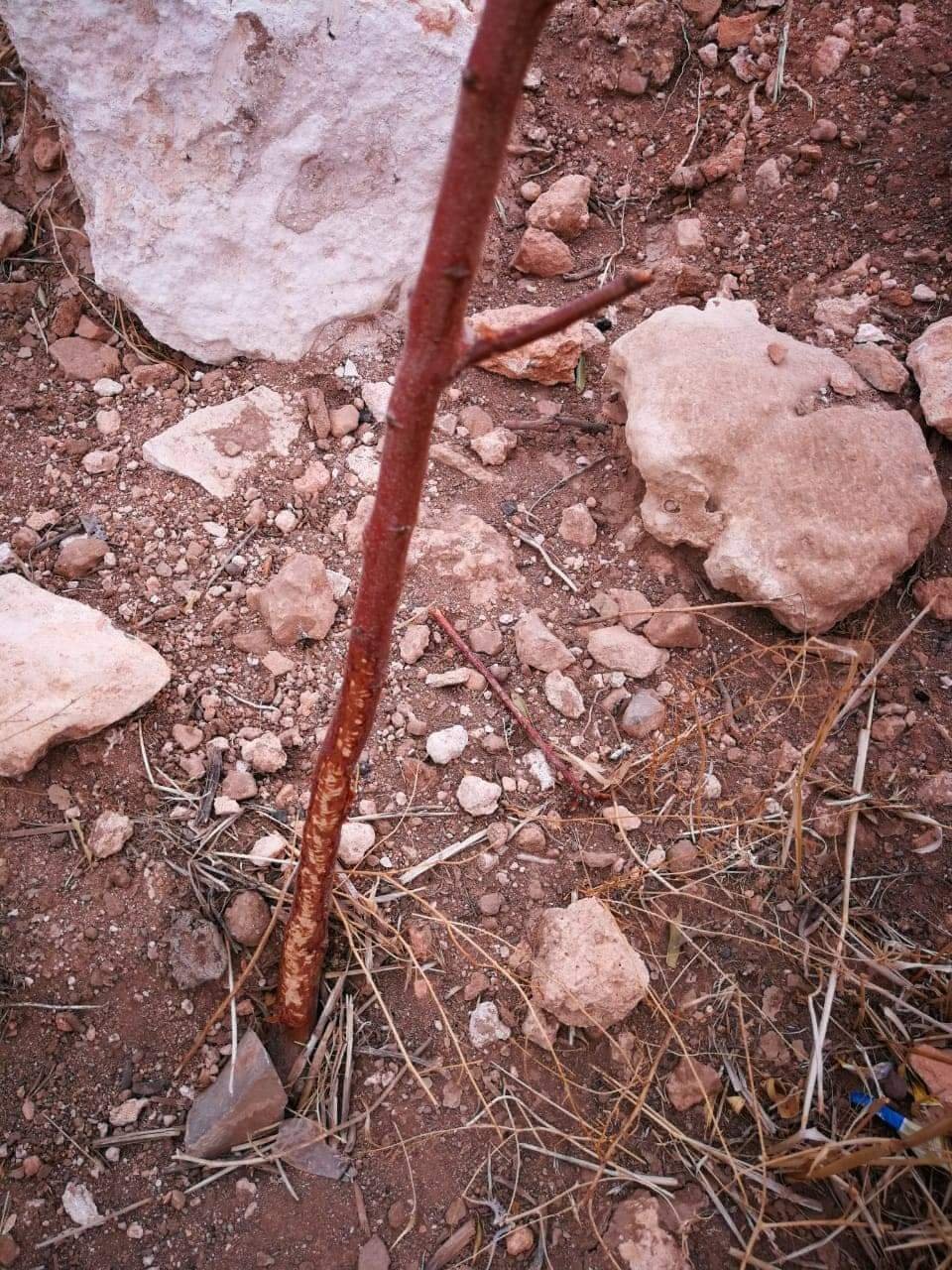 FB IMG 1613133455951 - www.sabahachark.com