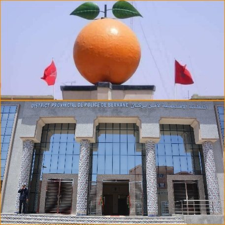 PhotoCollage 1613071050981 copy   - www.sabahachark.com