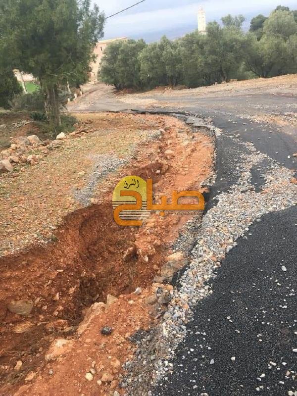 7d91eff9 21fa 47aa b1bd a51215c2b842 - www.sabahachark.com