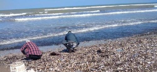 IMG 20210323 WA0003 - www.sabahachark.com