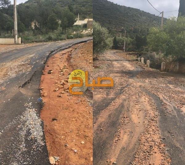 de1807c1 f253 40e7 8a88 cdeffcc5a90f 1 - www.sabahachark.com