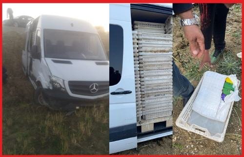 e11b021c 4b08 4065 b8b2 d03f8d9555e1 - www.sabahachark.com