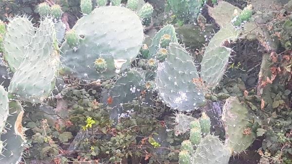  الصبار 22 1 - www.sabahachark.com