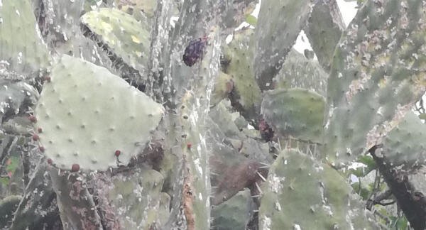  الصبار 22 2 - www.sabahachark.com