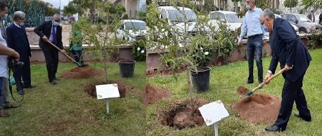 1620689520104 11 copy   - www.sabahachark.com