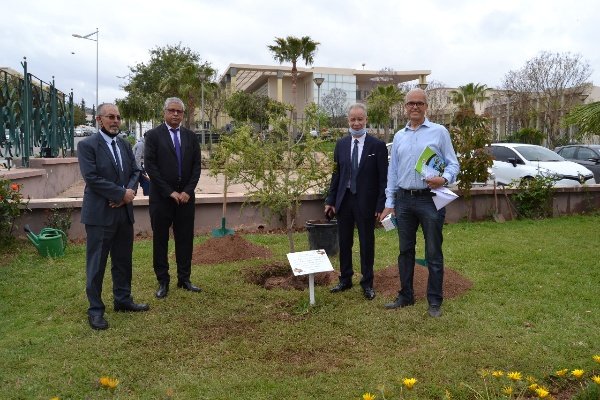 WhatsApp Image 2021 05 10 at 14.58 - www.sabahachark.com