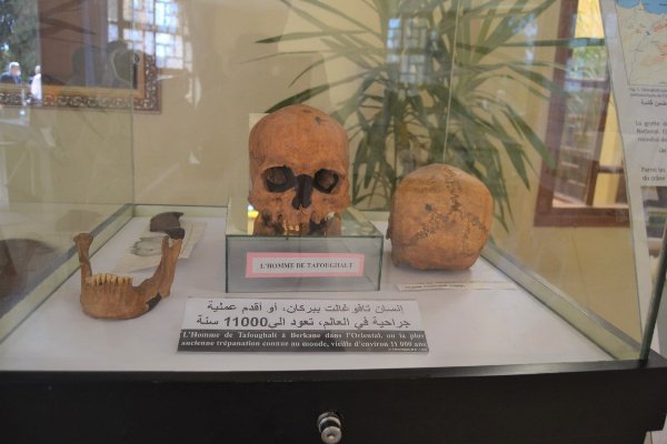 WhatsApp Image 2021 05 18 at 23.26 - www.sabahachark.com