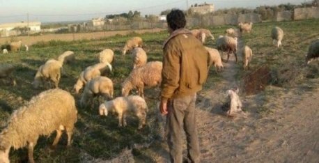 IMG 20210704 WA0006 copy   - www.sabahachark.com