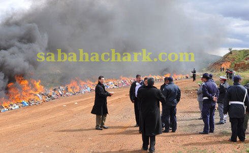 drogue saisie nador - www.sabahachark.com