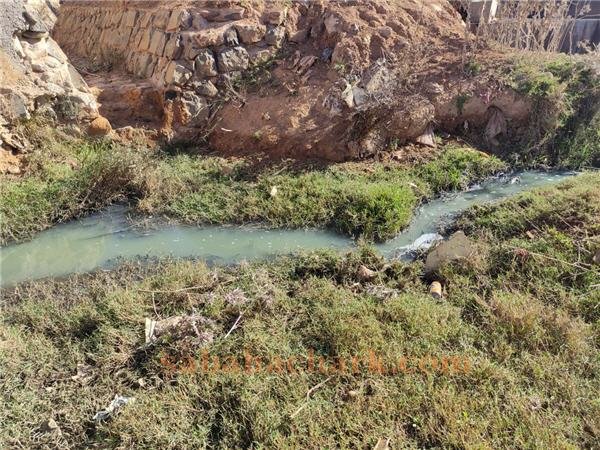 barkane prison ass - www.sabahachark.com