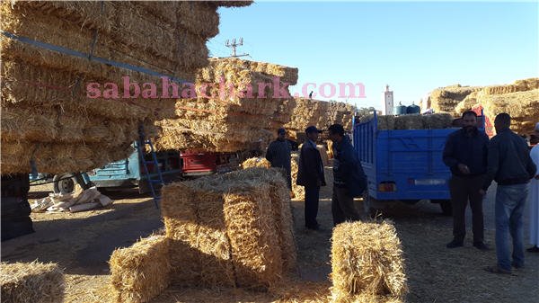 jafaf kassaba 1 - www.sabahachark.com