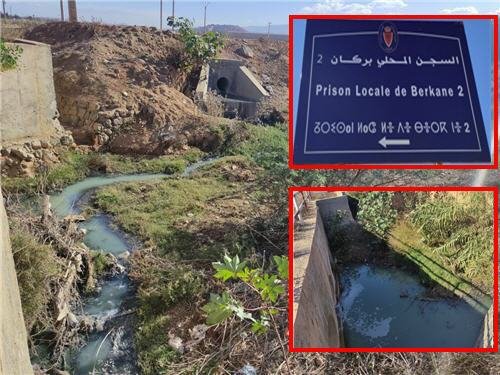 prison berkane assi - www.sabahachark.com