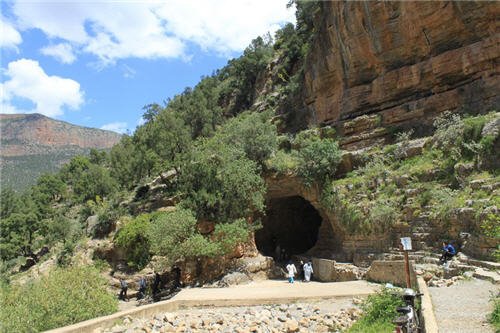 zagzal - www.sabahachark.com