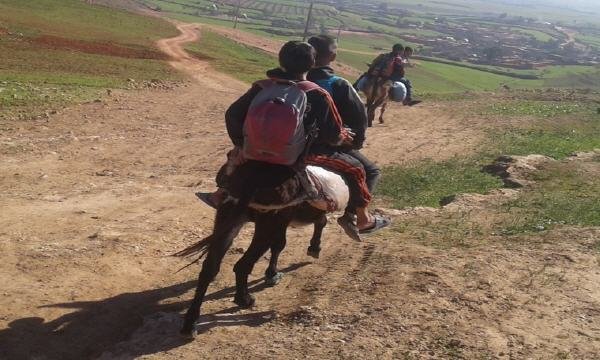 madrassa - www.sabahachark.com