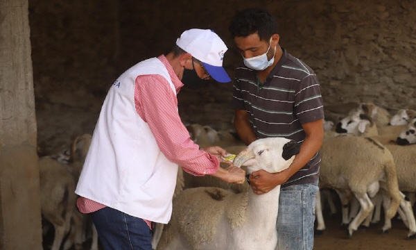 onssa tar9im - www.sabahachark.com