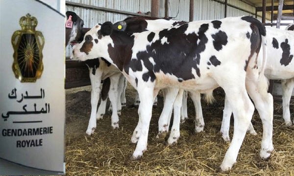 sari9a abkar - www.sabahachark.com