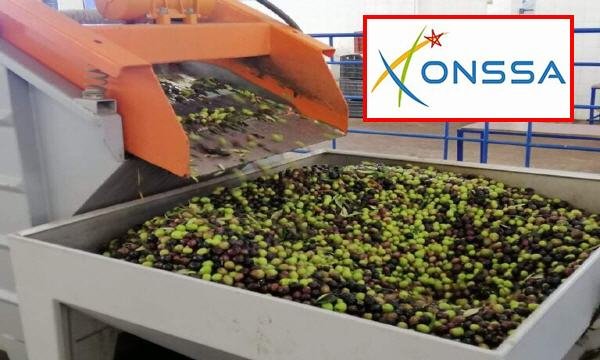 ONSSA ZAYTOUN - www.sabahachark.com