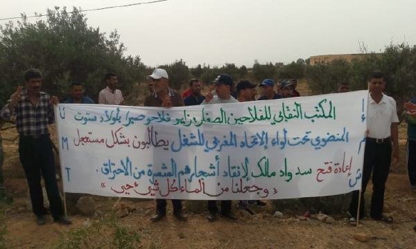 fila7a sabra - www.sabahachark.com