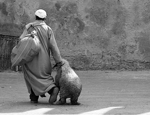 19 copy 600x458 1 - www.sabahachark.com