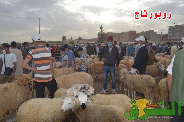 aid adha el aioun2022 - www.sabahachark.com