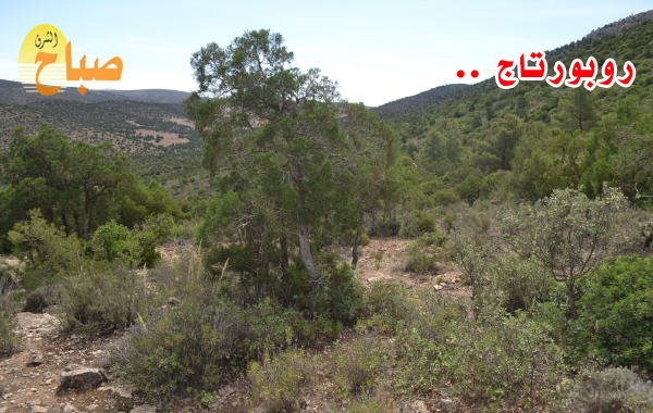 mechraa hammadi tourisme - www.sabahachark.com