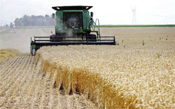 hoboub agr - www.sabahachark.com