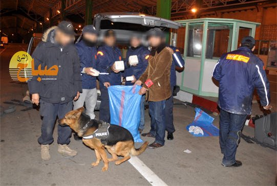 nador canabis - www.sabahachark.com