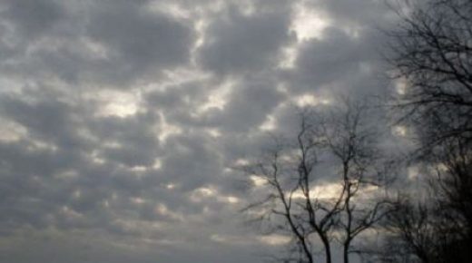 - www.sabahachark.com