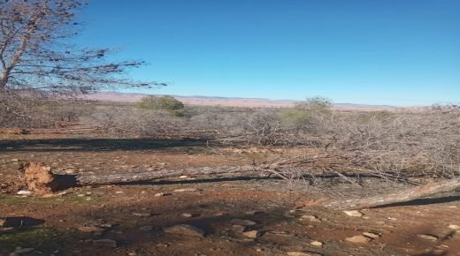 IMG 20260109 WA0068  - www.sabahachark.com