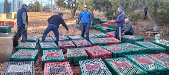 IMG 20260113 WA0085 copy - www.sabahachark.com