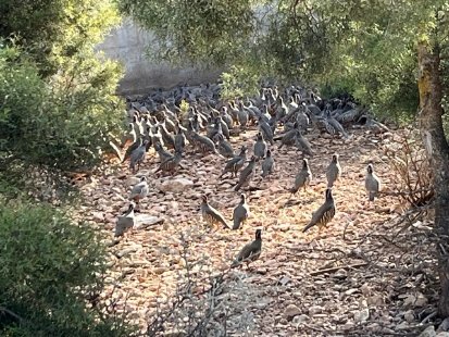 IMG 20260113 WA0093 copy - www.sabahachark.com