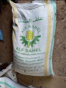 IMG 20260113 WA0094 copy - www.sabahachark.com