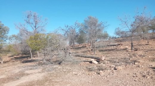 IMG 20260109 202802  - www.sabahachark.com