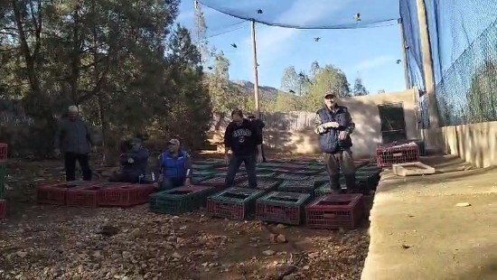 VID 20260113 WA00871 copy - www.sabahachark.com