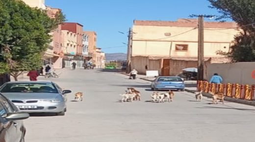 Screenshot 2026 02 23 13 39 32 602 com.miui - www.sabahachark.com