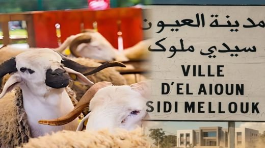 IMG 20260520 WA0126 - www.sabahachark.com
