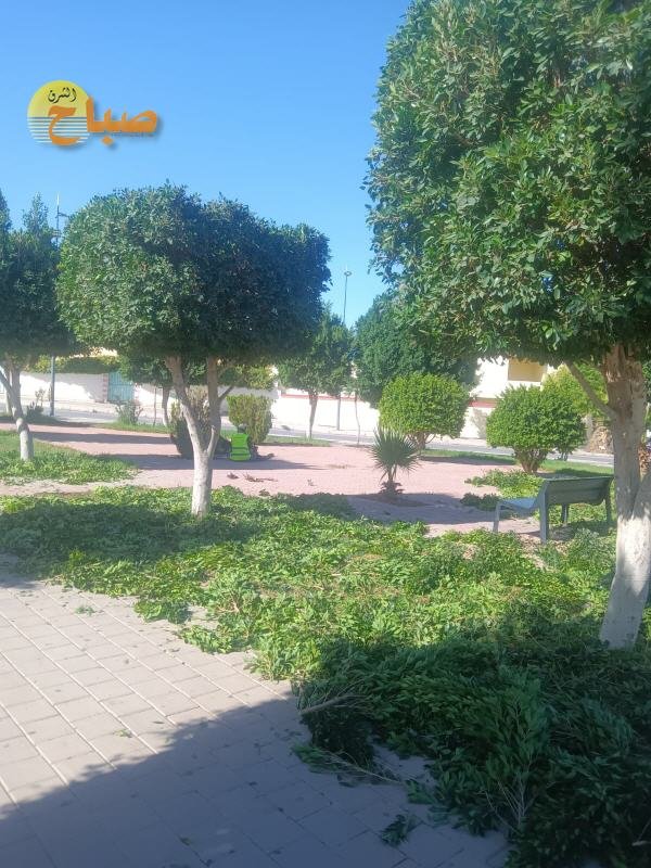 IMG 20261022 WA0114 - www.sabahachark.com