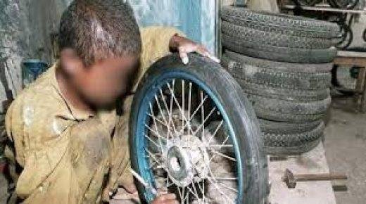 المندوبية السامية للتخطيط 69 ألف طفل يمارسون أشغالا خطيرة بالمغرب