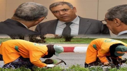 وزارة الداخلية تشرع في افتحاص ملف العمال العرضيين بالجماعات