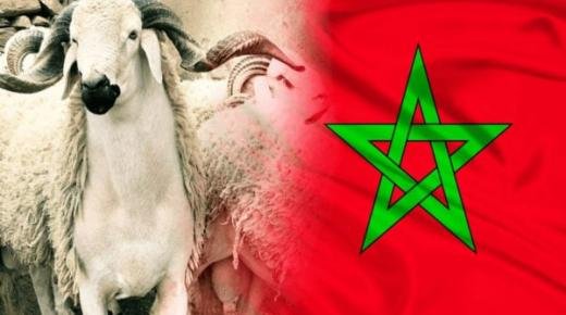 عيد الأضحى في المغرب يوم الخميس 29 يونيو 2023
