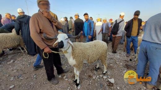 سوق الثلاثاء بالعيون سيدي ملوك..الكسيبة موجودة و الشاري مفقود