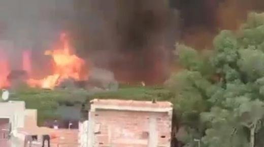 حريق يبتلع غاباتٍ بإقليم العرائش.. وخسائر جسيمة تطال بيوت وقطعان ماشية