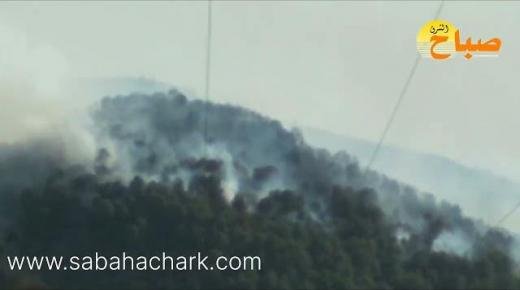 طائرات كنادير تحلق في سماء غابة تافوغالت لإطفاء الحريق بدوار بني داود