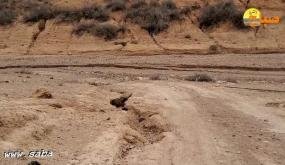 مسلك تاجموت بلا عبور ..من يتحمل مسؤولية الإهمال