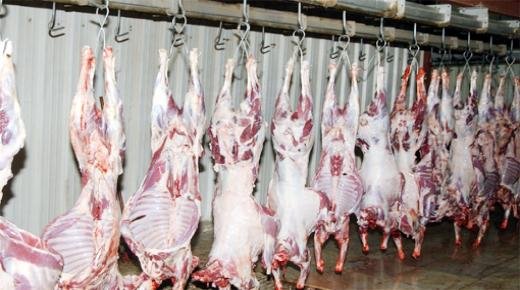 تفكيك شبكة تنشط في مجال الذبيحة السرية بوجدة