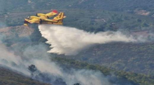 جهود متواصلة لإخماد حريق أتى، على غابة “سكنا” (إقليم شفشاون).