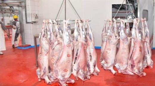 اختلالات ومشاكل بالجملة تعرفها المجزرة الجديدة ببركان…!!