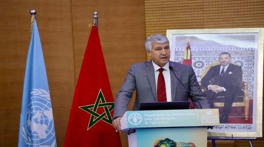 وزير الفلاحة محمد صديقي يؤكد على أهمية العمل المشترك للقضاء على عدم المساواة