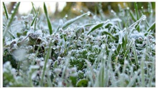 طقس يوم السبت..بارد نسبيا مع وجود صقيع أو جليد، خلال الليل و الصباح