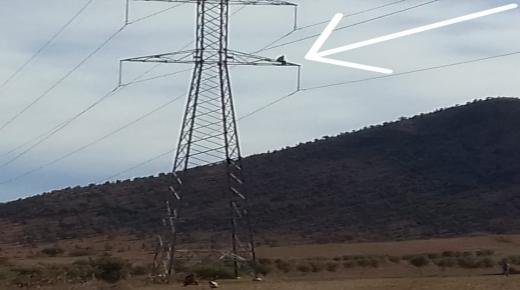 مهاجر إبن مدينة أكليم يعاني من اضطرابات نفسية لقي حتفه بعد أن رمى بنفسه من أعلى عمود كهربائي